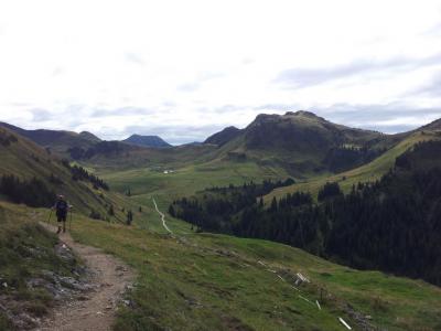 Kitzbuheler Horn